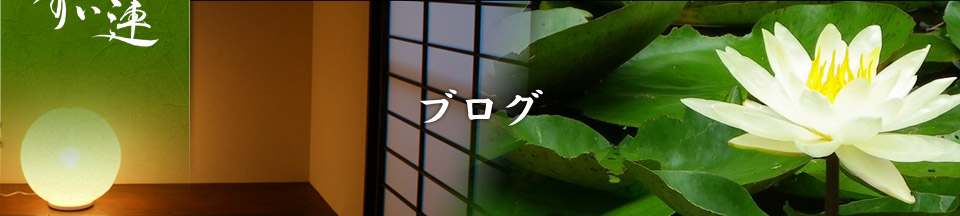 ブログ